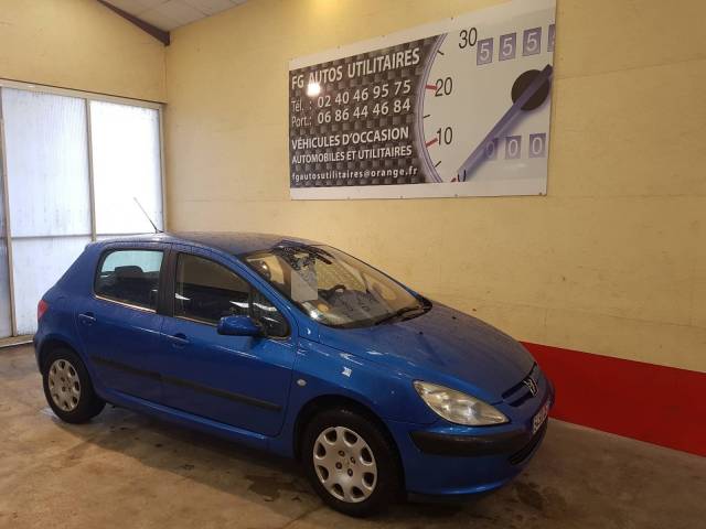 307 1.6l 110 